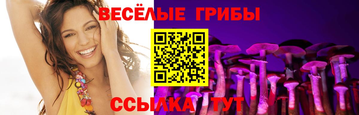 Курчатов  Галлюциногенные грибы GOLDEN TEACHER  Вход с VPN 