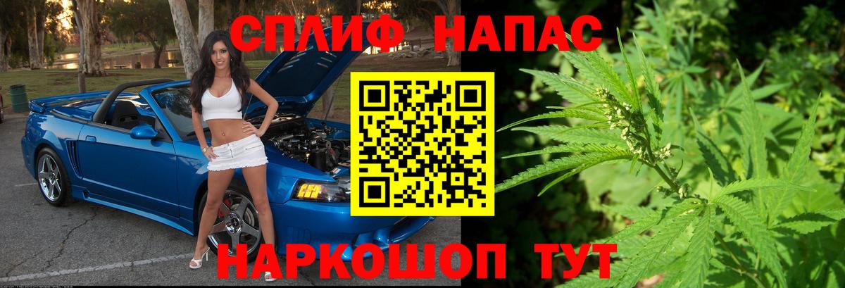 Курчатов  Шишки марихуана Bruce Banner  Марихуана марихуана  Бошки марихуана THC 21%  Шишки марихуана марихуана  Вход с VPN 